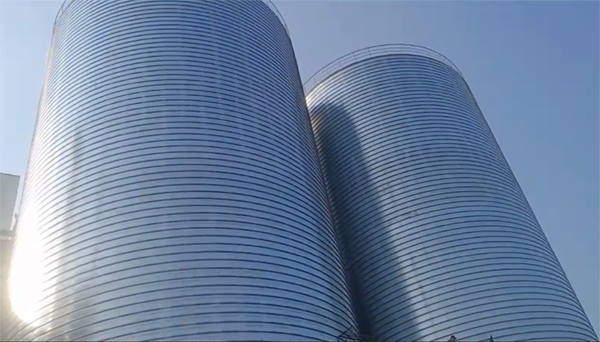 嘉黎2座混凝土高架卷板仓